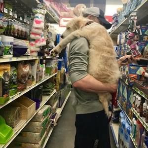 Meet your Posher, Tyler